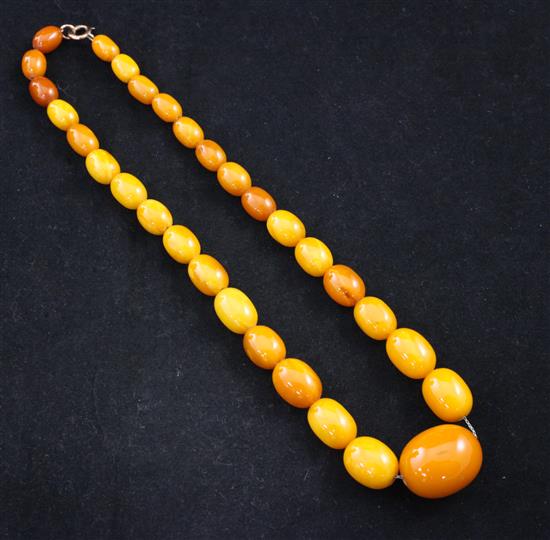 A single strand graduated oval amber bead necklace, 14.5in.